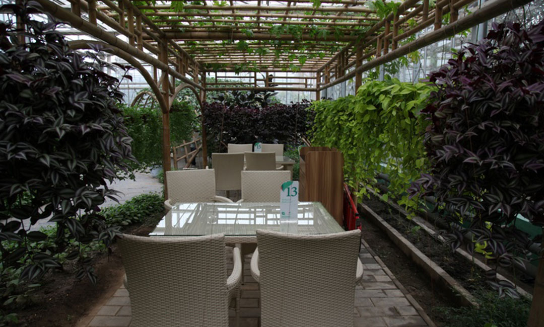 安定康柏宇品牌文案撰写案例